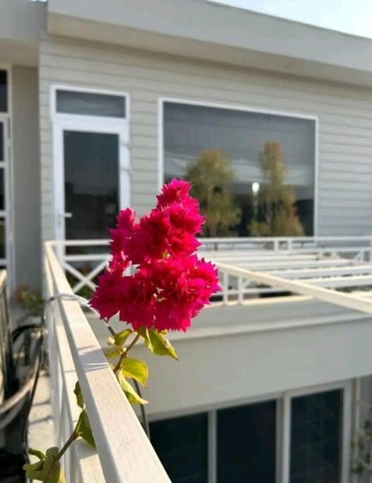 Apartamento Sukoon ,cozy ,private & Regal Terrace Nova Deli