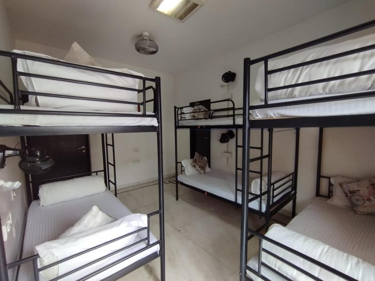 A Sleepy Fox Hostel New Delhi