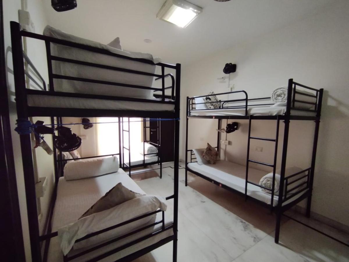 A Sleepy Fox Hostel New Delhi