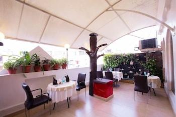 Surya International Hotel Delhi (National Capital Territory of India)
