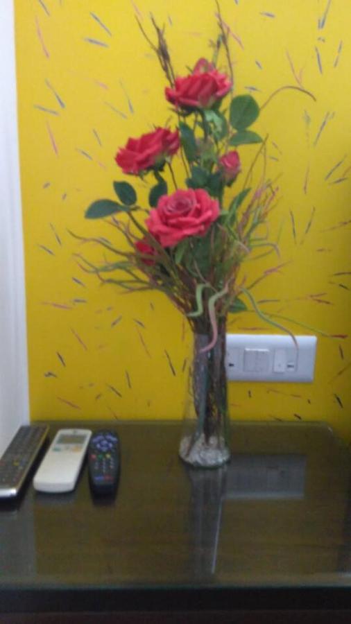 Moydom & Cosy Private 1 Bhk Opp Nfc Market New Delhi
