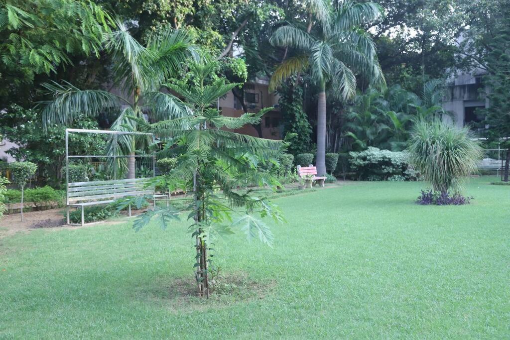 Divine India Service 3bhk,b57 Sarita Vihar,apollo Apartment