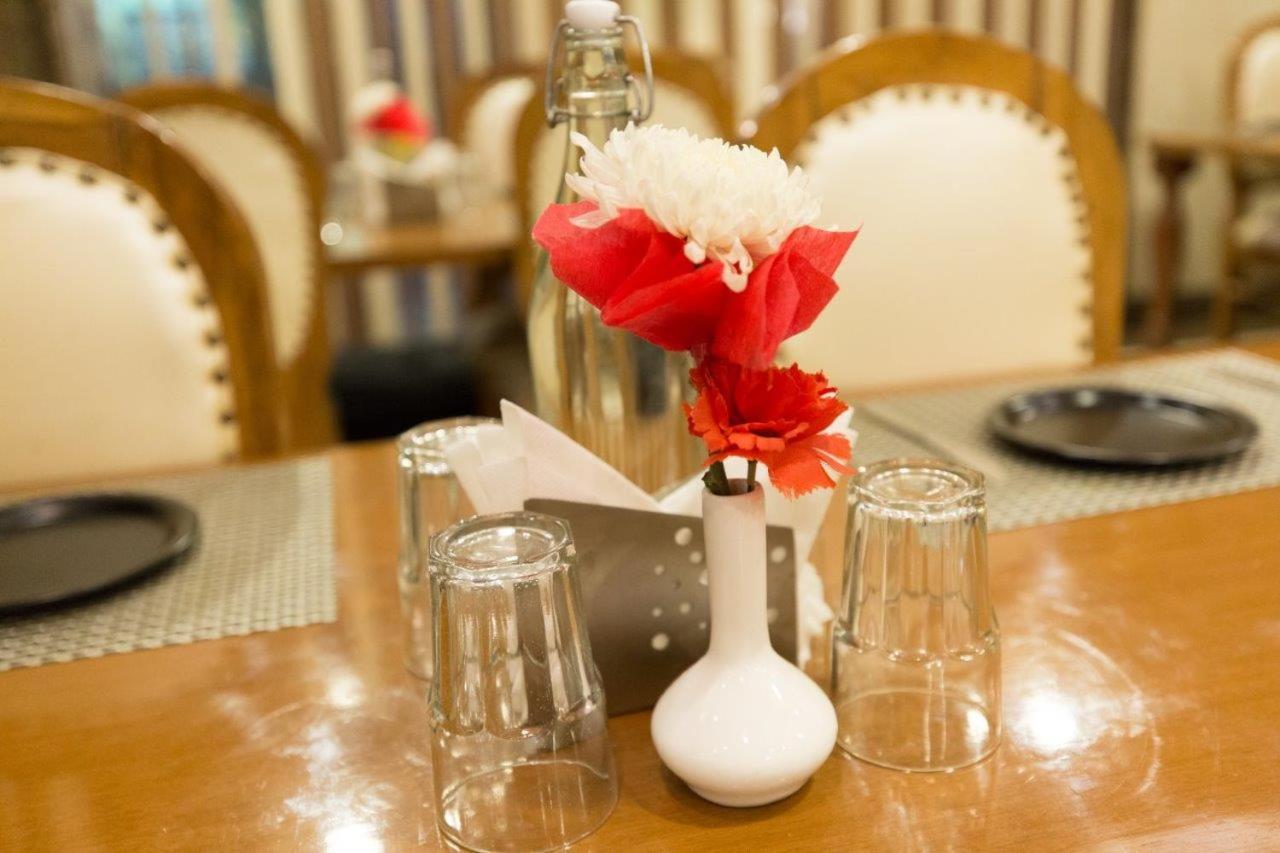 Hotel Viva Palace By Opo Hotel 3*