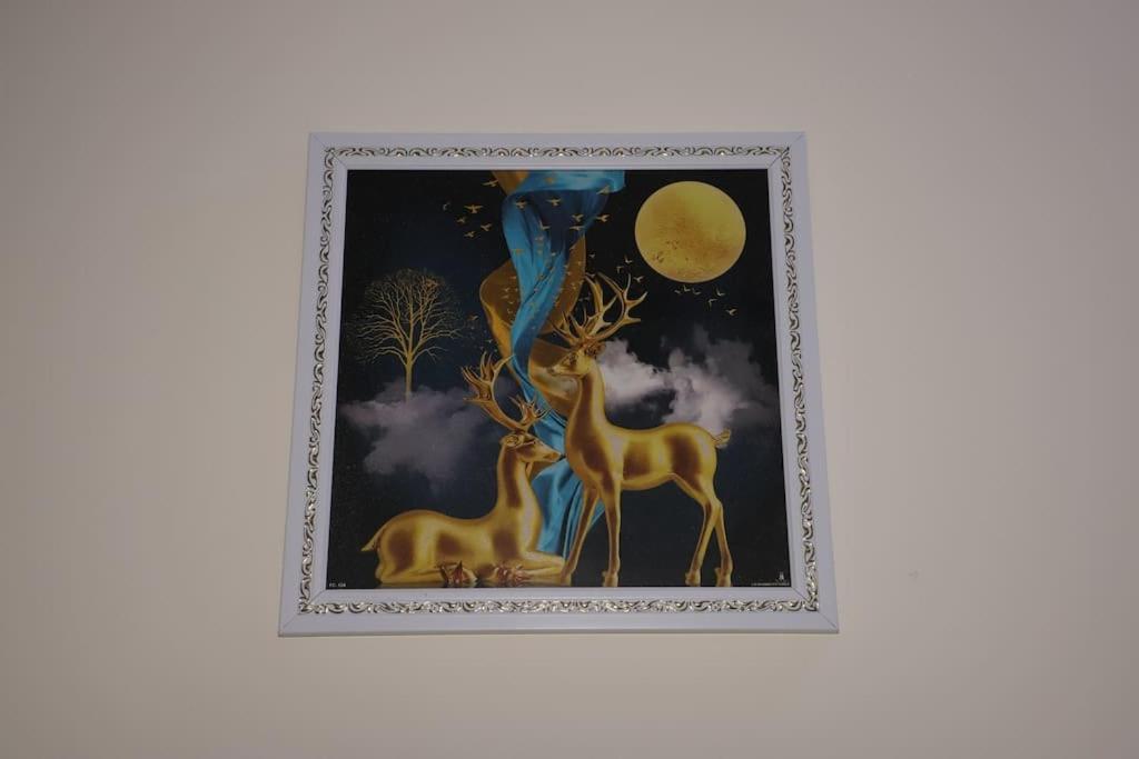 Divine India Service 1bhk,l-36b,saket Apartment New Delhi