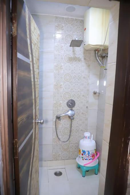 Apartment Divine India Service 1bhk,l-36b,saket New Delhi