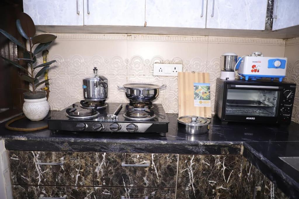 Divine India Service 1bhk,l-36b,saket * New Delhi