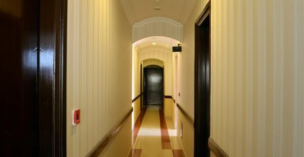 Hotel Zara Grand - Green Park New Delhi