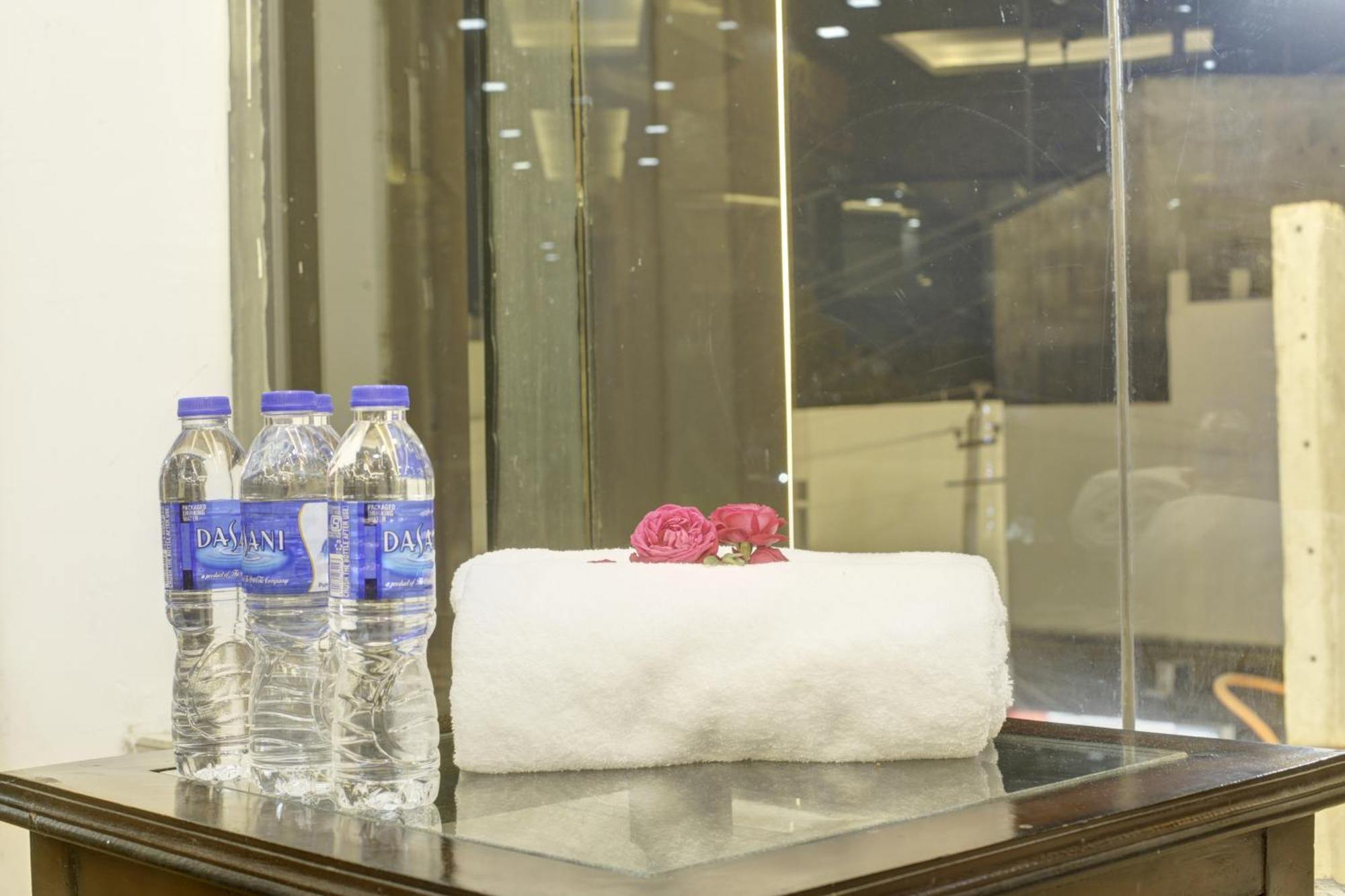 Park Tree - Igi Airport A Unit Of Prithvi Palace 4* New Delhi
