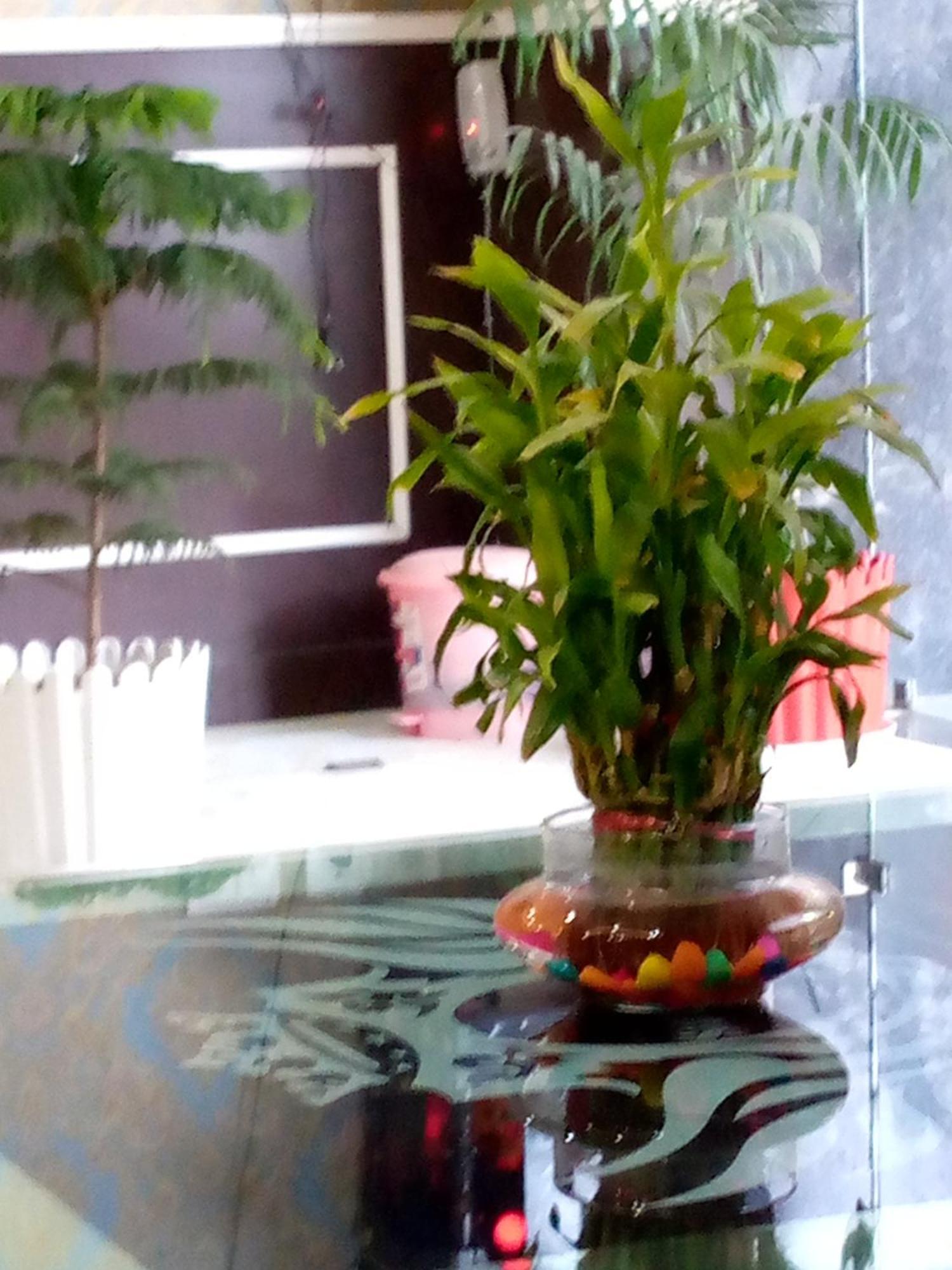 Decent Suites Inn- Mahipalpur, Delhi Airport, Aerocity Acomodação com café da manhã 