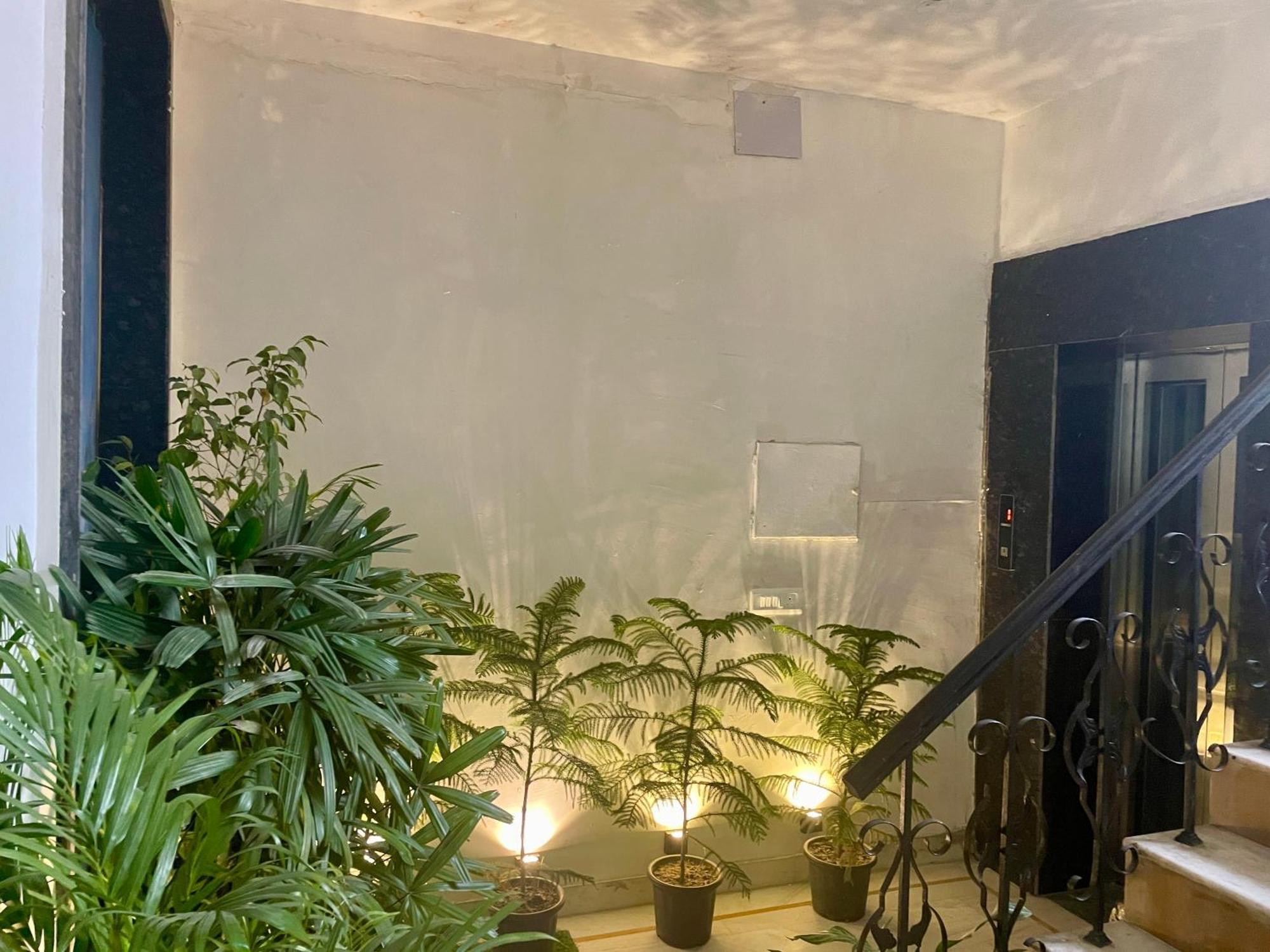 Bed & Breakfast Lime Boutique Gk-1 At Kailash Colony Metro , Greater Kailash Near Eros Nehru Place New Delhi