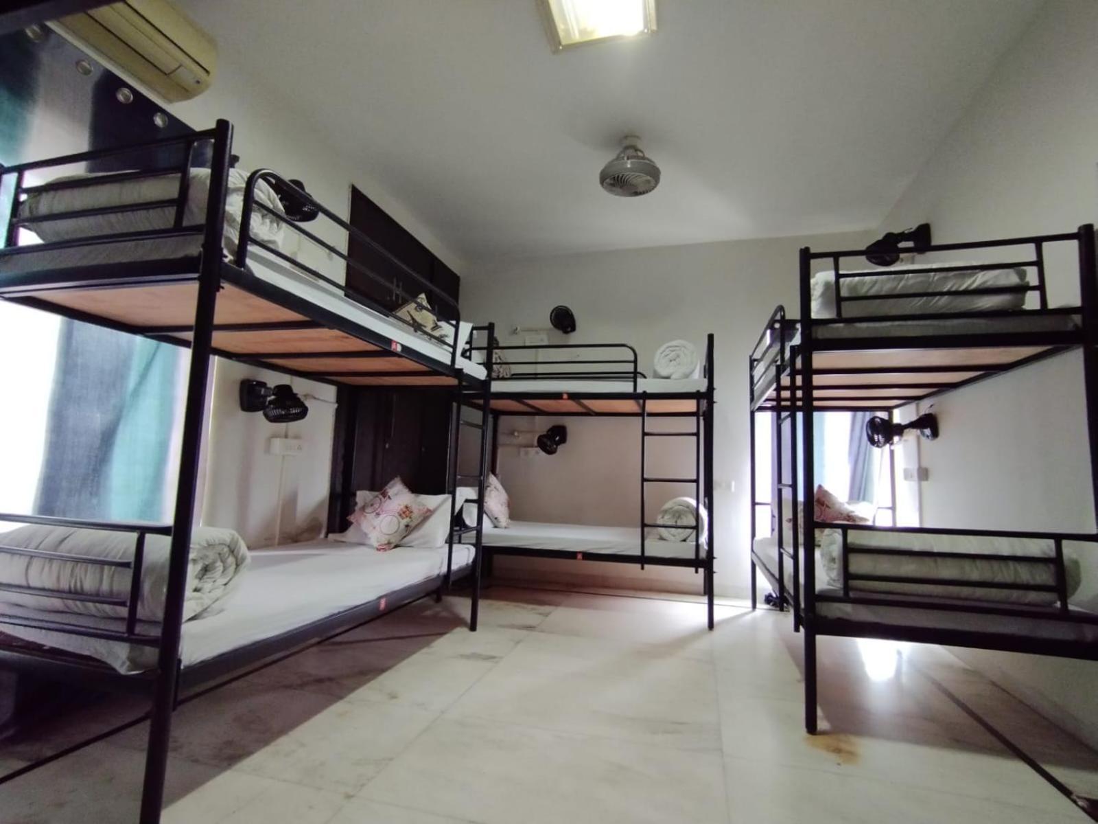 A Sleepy Fox Hostel *