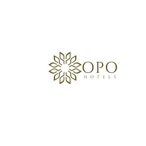 Hotel Hotel Viva Palace By Opo New Delhi
