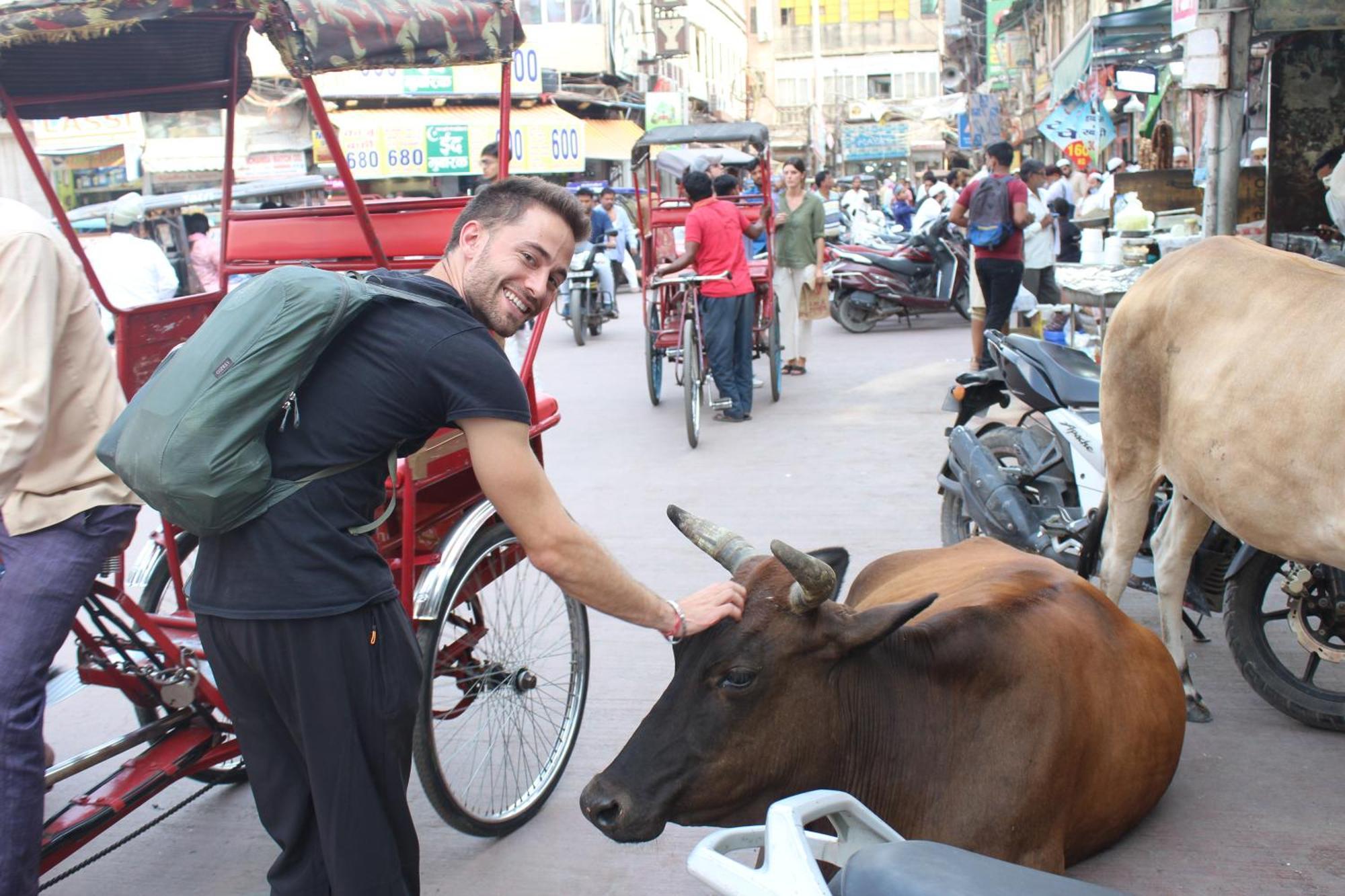 Yes Boss By Backpackers Heaven Right In Centre Of New Delhi