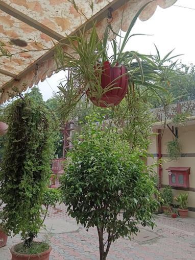 New Rajdhani Lajpat Nagar Hotel