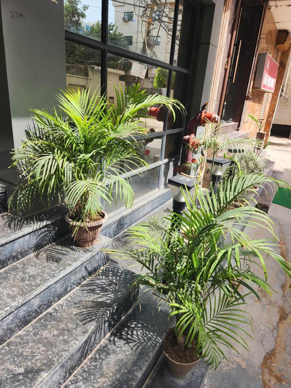 Hotel City Lite Near Igi Airport