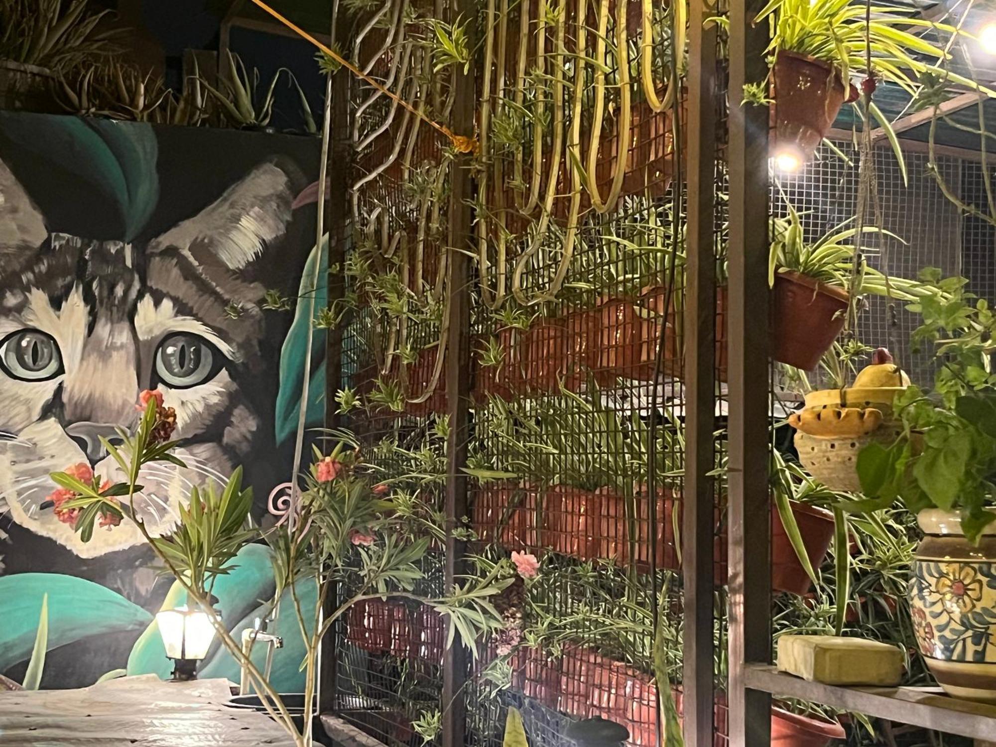 Anavrin Art House Apartment New Delhi