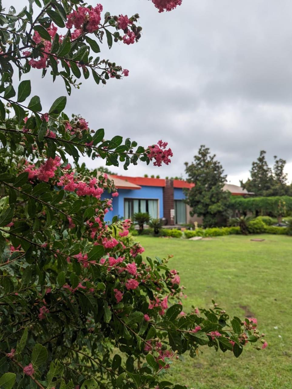 Villa The Blue Lotus New Delhi