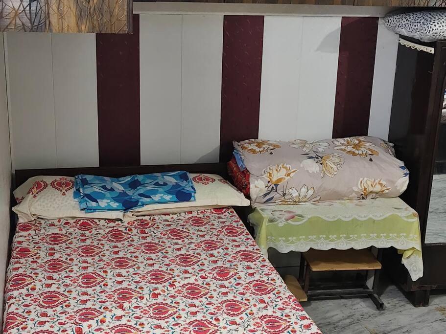 Apartment Peaceful 1 Bhk New Delhi