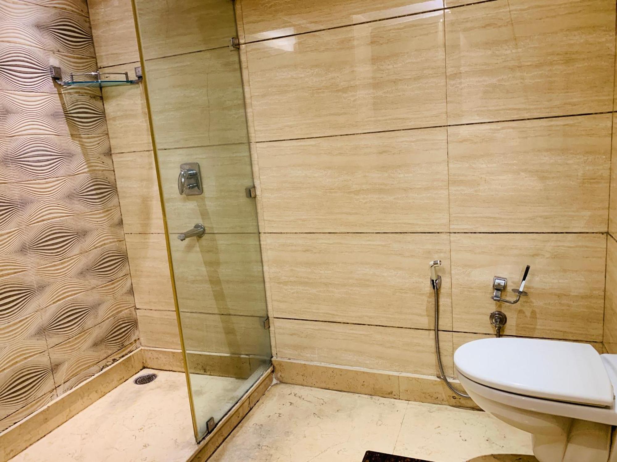 Metropolis Tourist Paharganj Hotel 3*