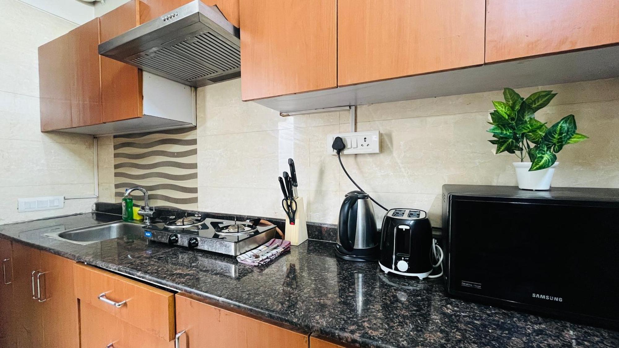 Apartment Olive Service - Green Park New Delhi