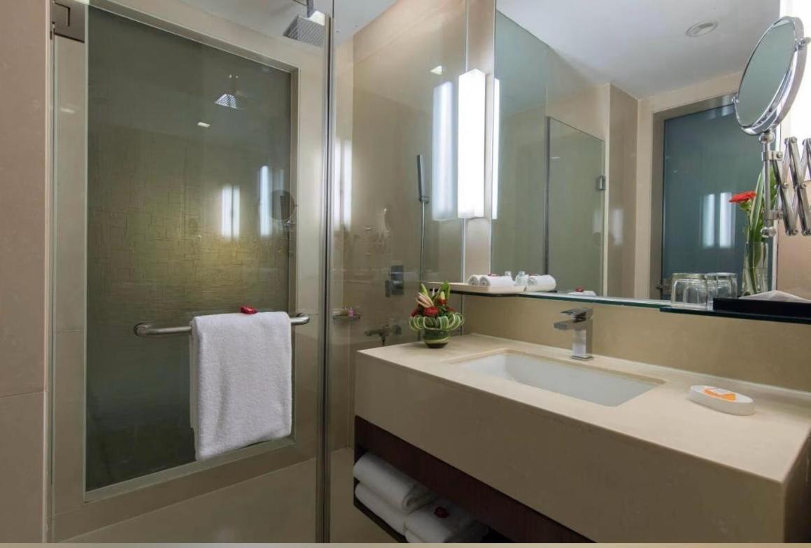Hotel Airport Plaza Near Delhi Airport Aerocity New Delhi