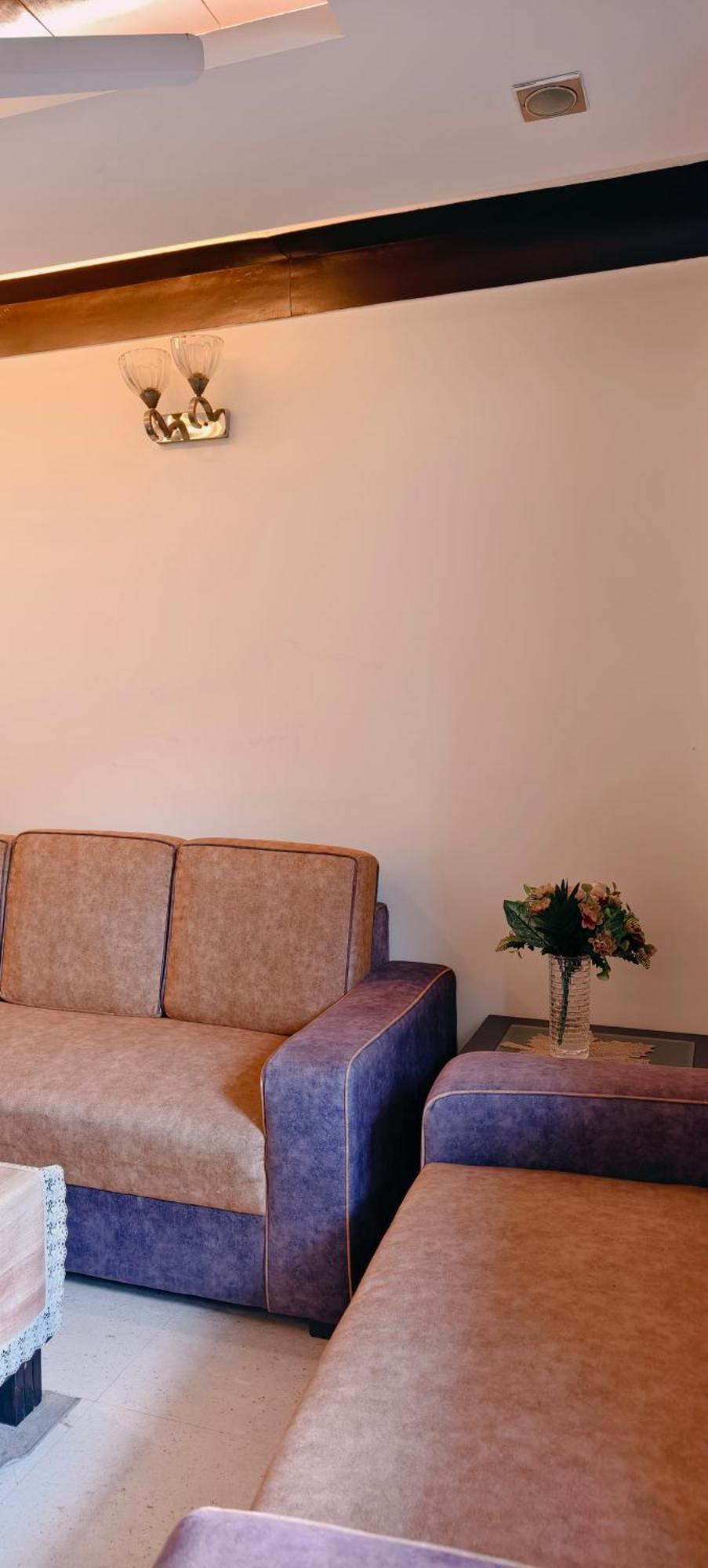 Apartment Palatial 3bhk Apartment!greater Kailash 1