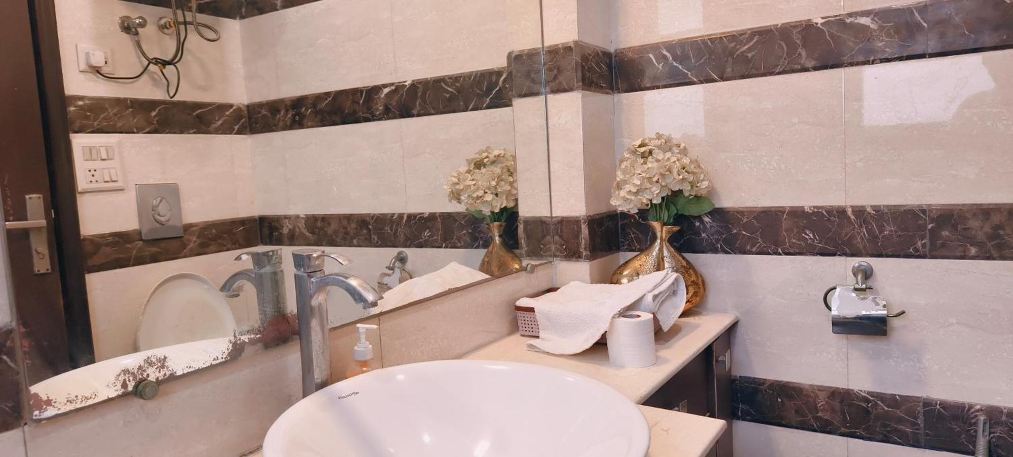 Apartment Palatial 3bhk Apartment!greater Kailash 1 New Delhi