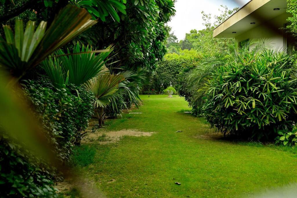 Udman Luxe Chattarpur Villa