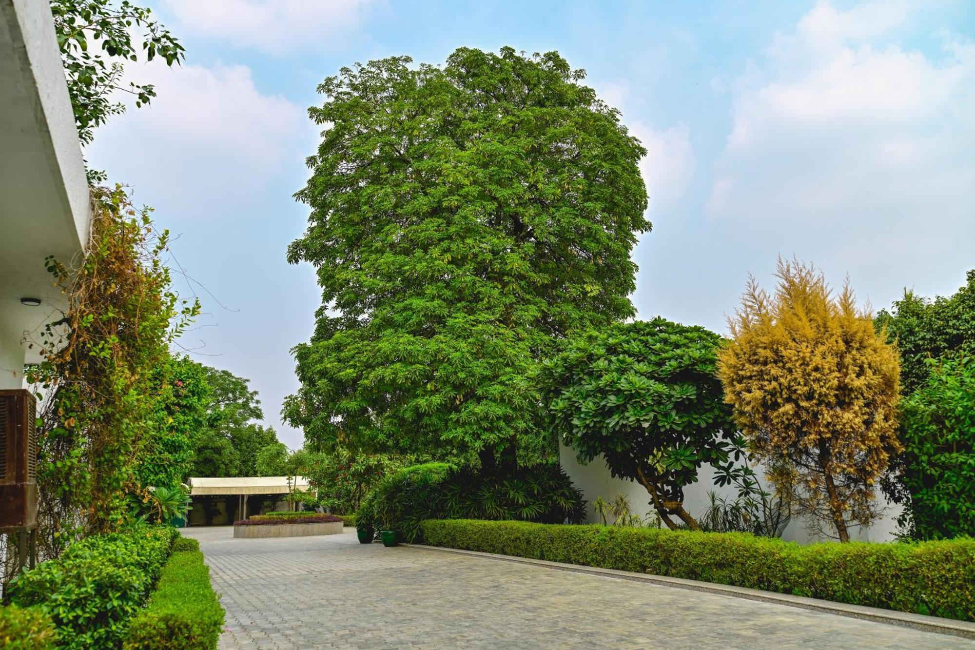 Udman Luxe Chattarpur * New Delhi