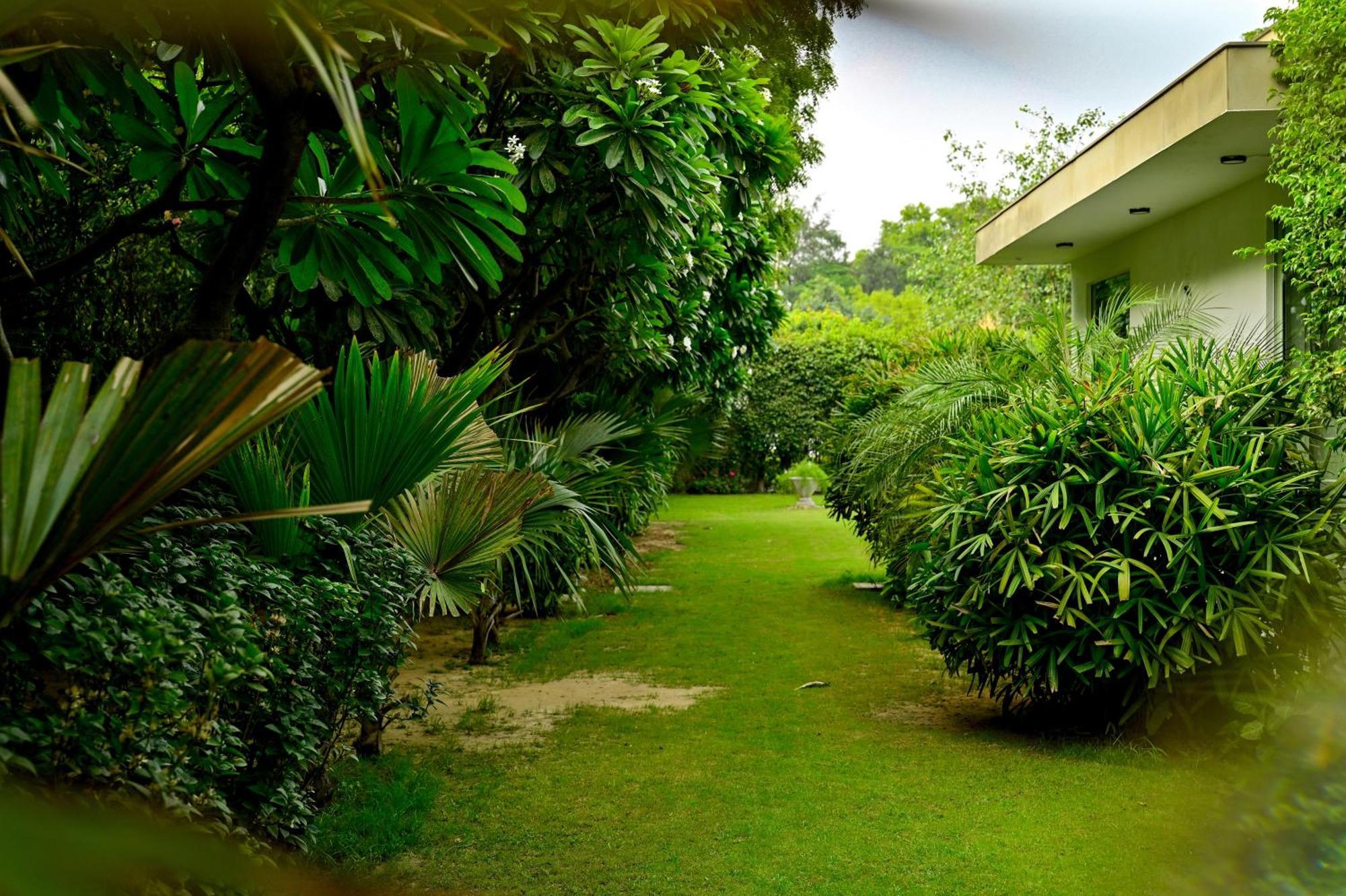 Udman Luxe Chattarpur *