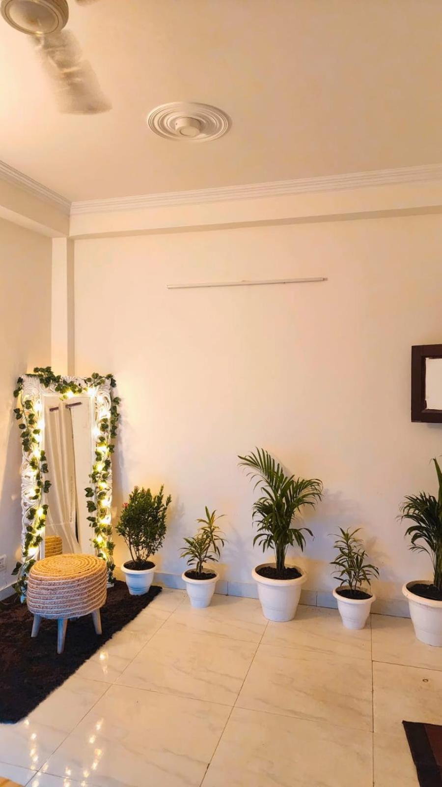 The Cozy Canopy Apartment *