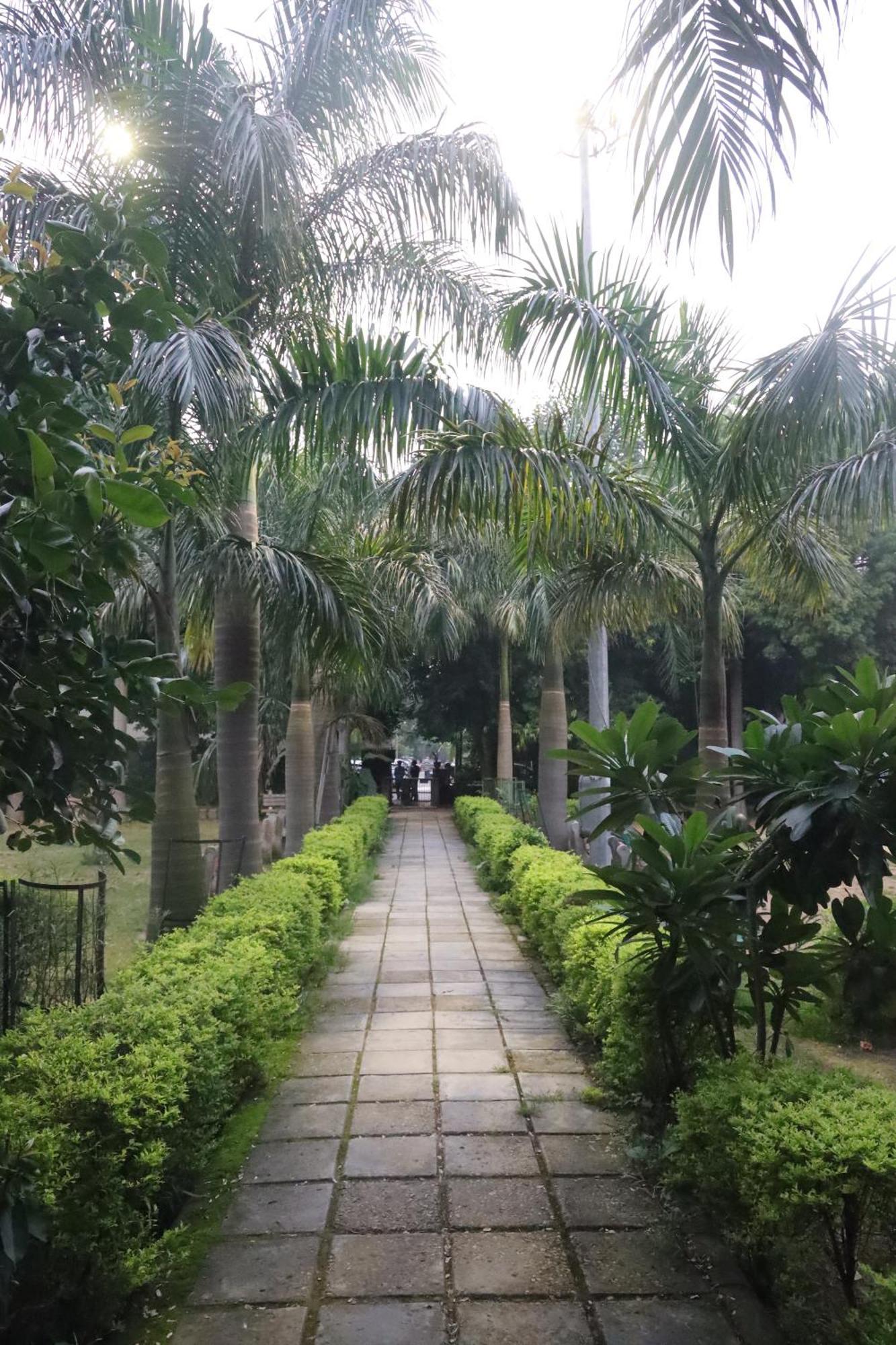 Fortune Service 3bhk,j-223 Saket Apartment *