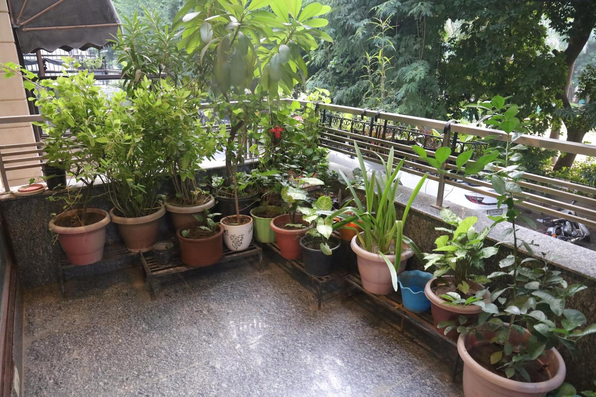Fortune Service 3bhk,j-223 Saket Apartment *
