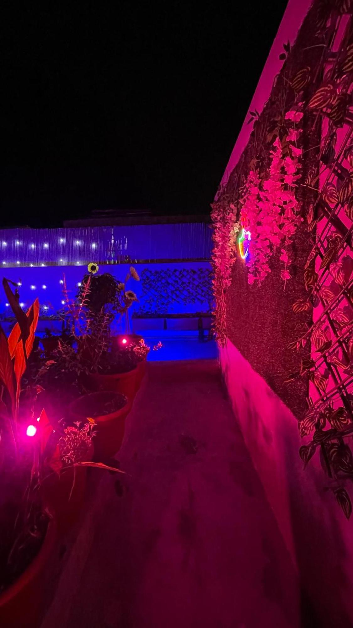 The Greenhouse Farm Farm stay New Delhi