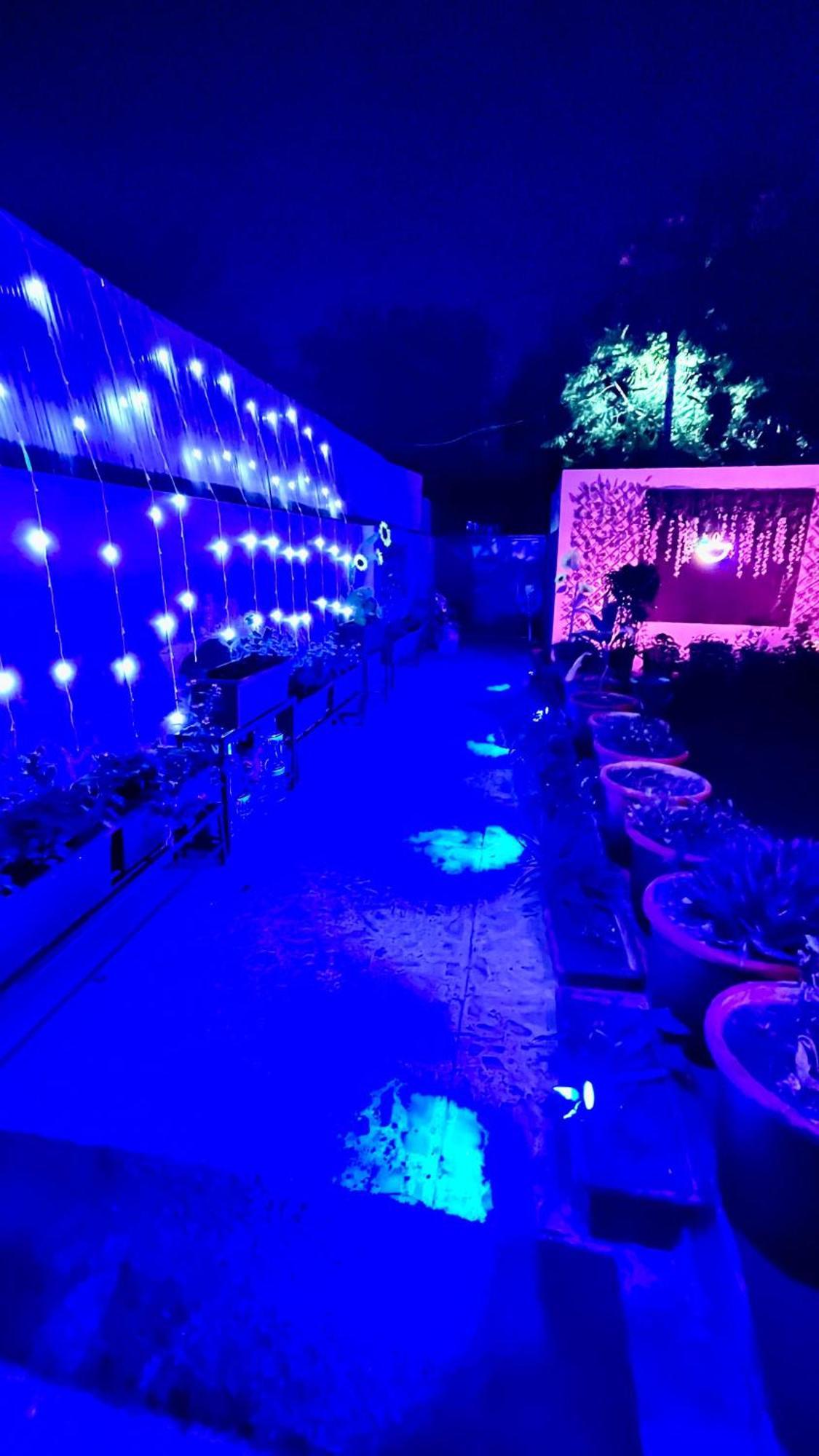 The Greenhouse Farm Farm stay New Delhi