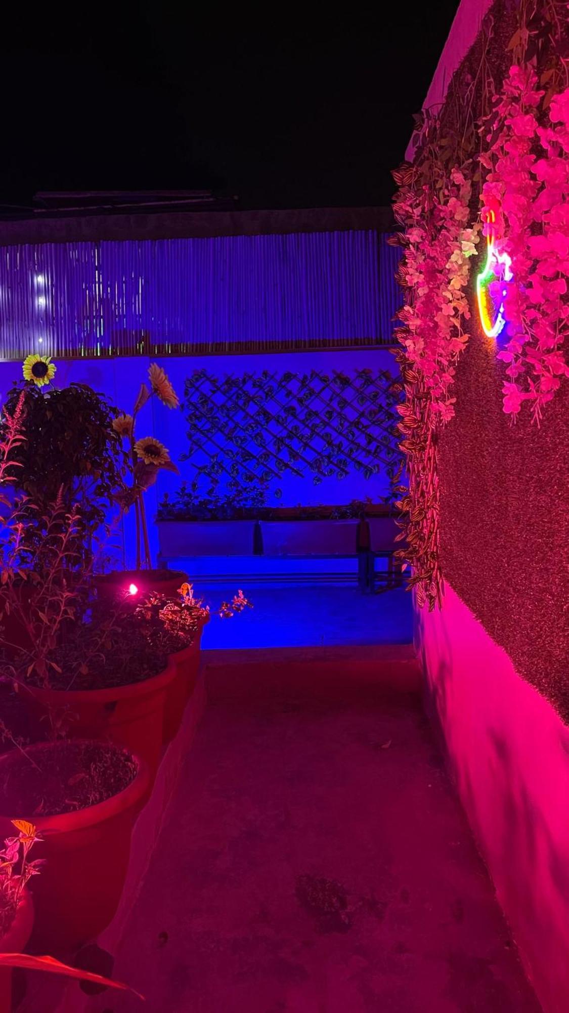 The Greenhouse Farm