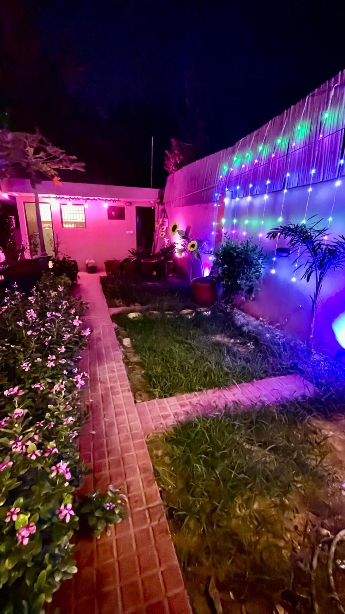 The Greenhouse Farm