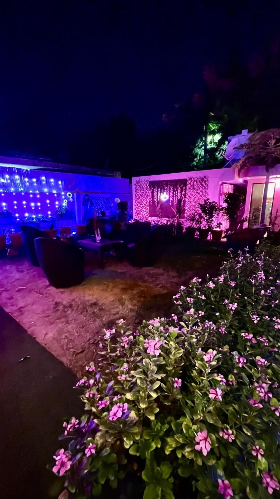 The Greenhouse Farm Farm stay