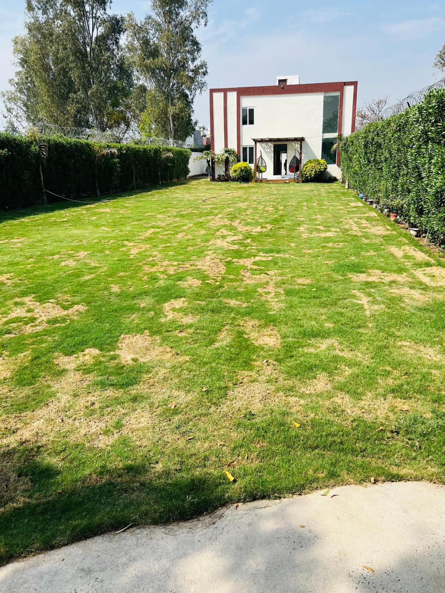 Green Villa