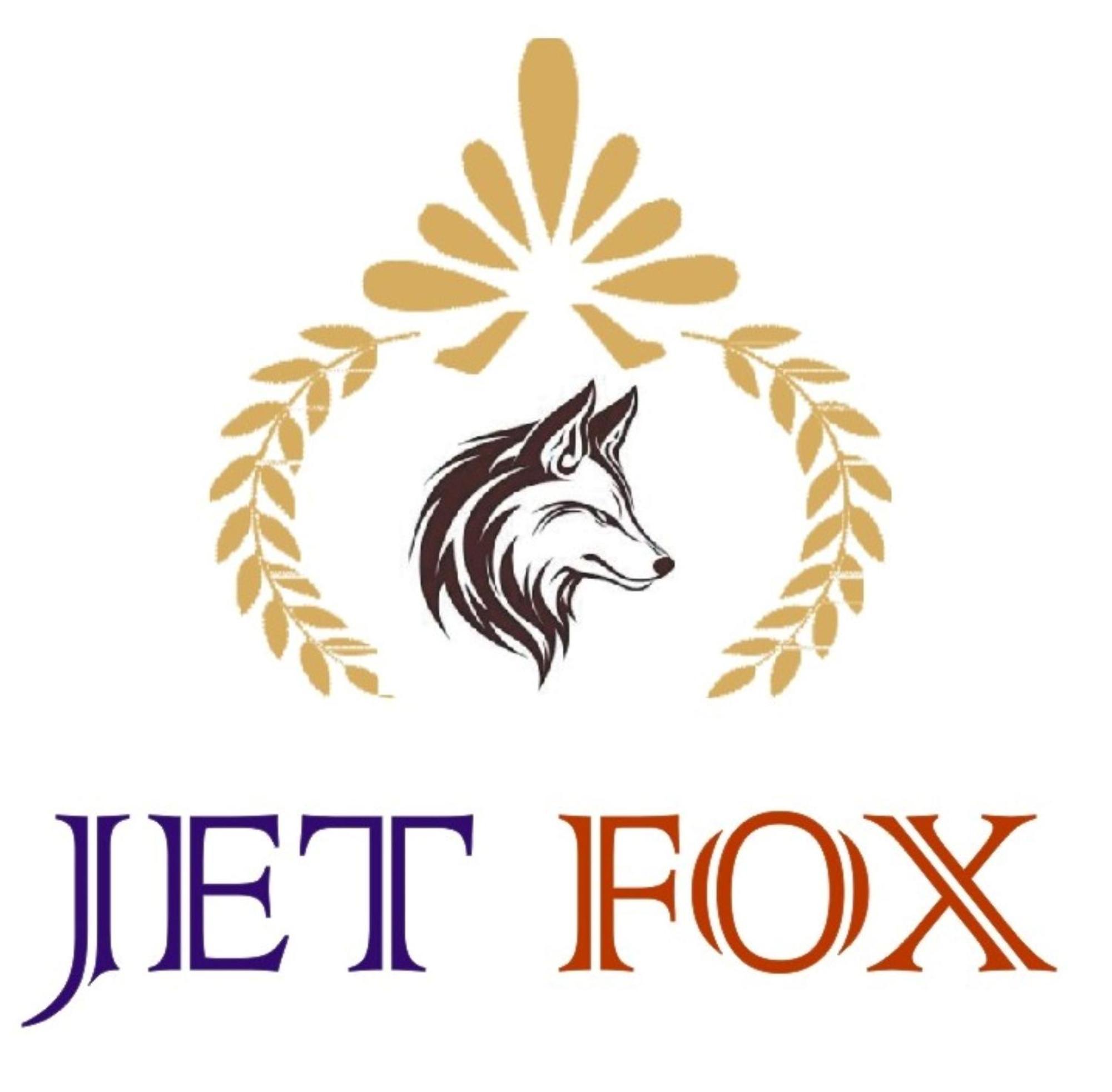 Jet Fox By Aero View Hotel, Delhi Airport