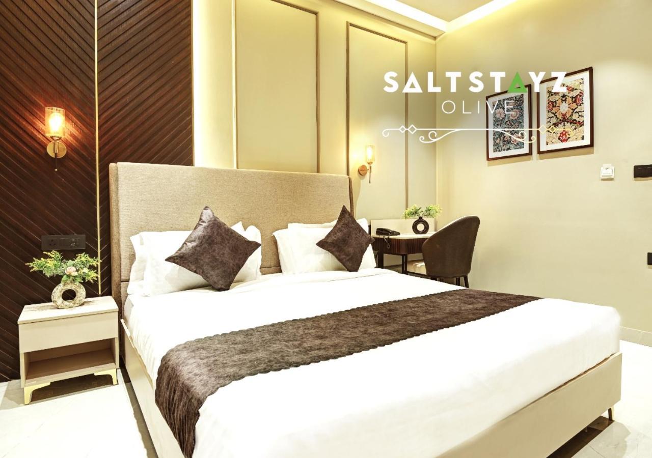 Saltstayz Select - Pitampura 4* Delhi (National Capital Territory of India)