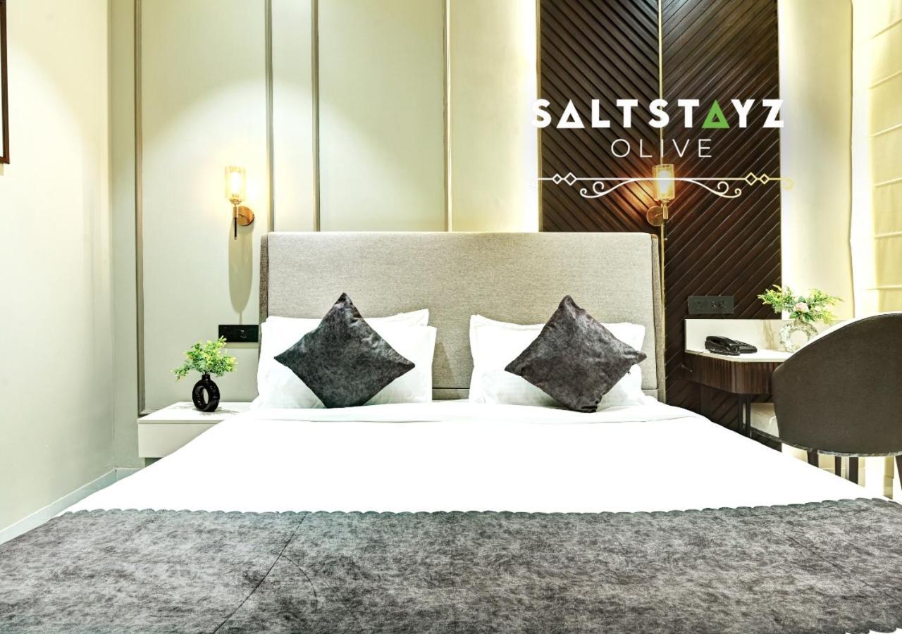 Saltstayz Select - Pitampura Hotel