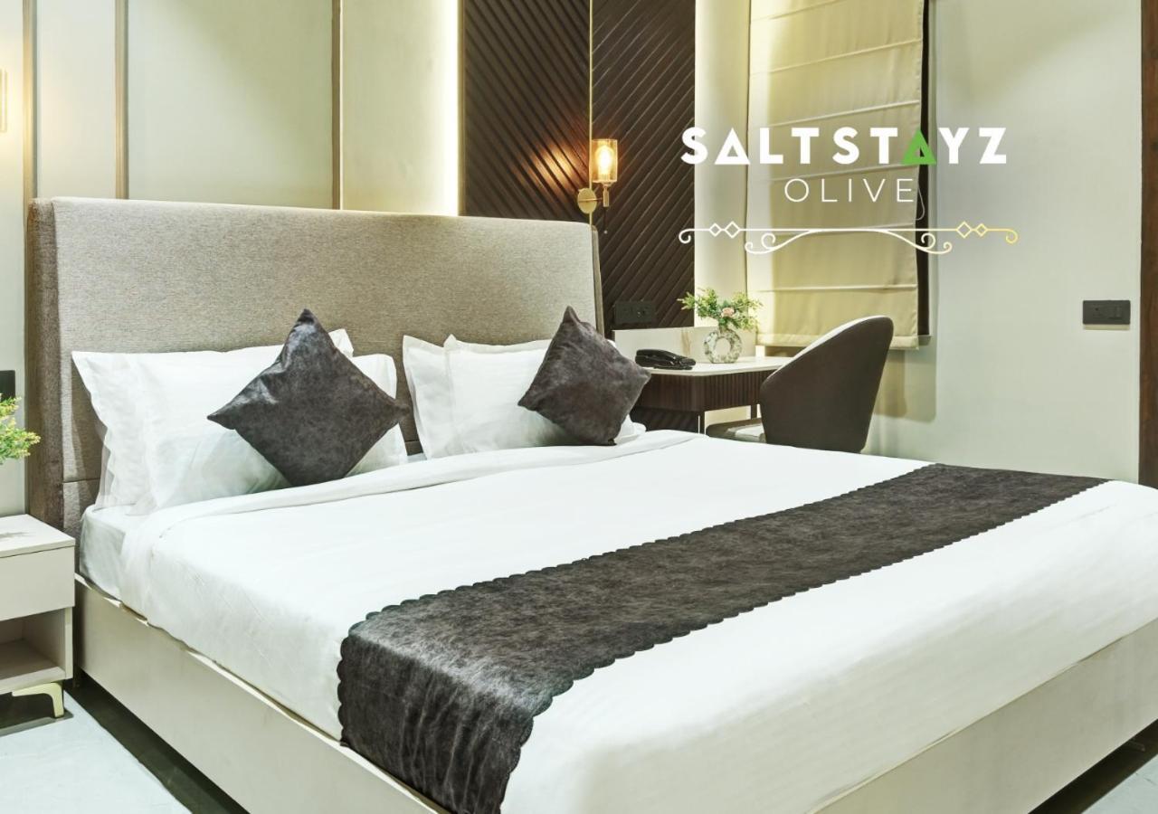 Hotel Saltstayz Select - Pitampura Delhi (National Capital Territory of India)