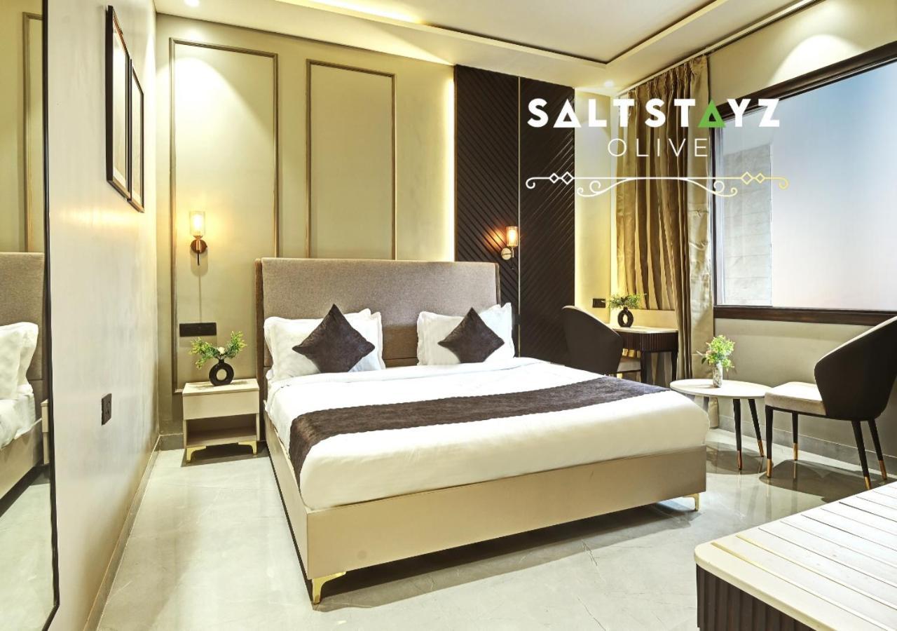 Saltstayz Select - Pitampura Hotel