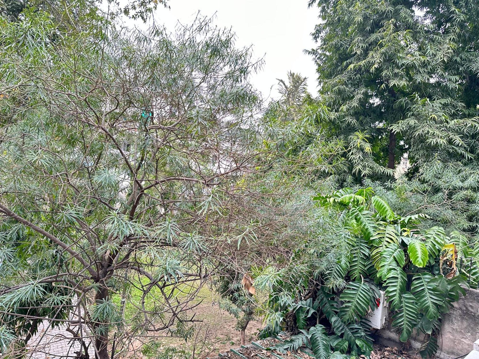 Hotel Grove Residency Hauz Khas Couple Friendly 3*