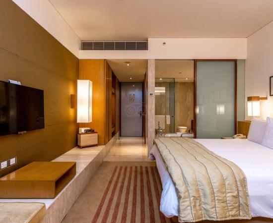 Hotel Plaza International Near Delhi Airport Nova Deli