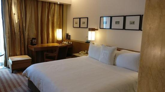 Plaza International Near Delhi Airport Hotel 4*