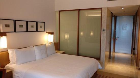 Plaza International Near Delhi Airport 4*