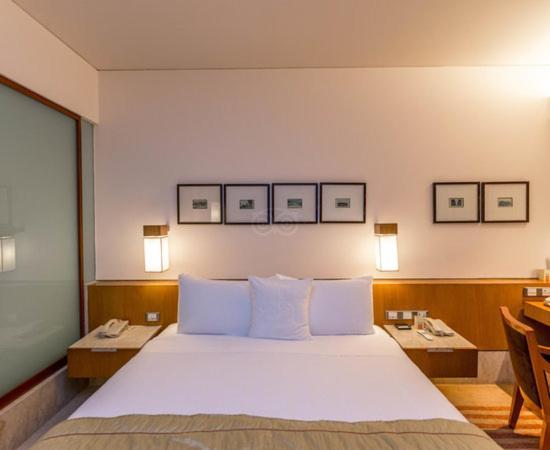 Plaza International Near Delhi Airport Hotel