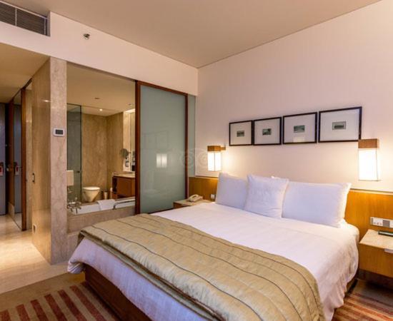Hotel Plaza International Near Delhi Airport Nova Deli